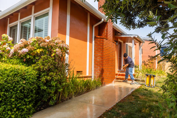 Best Roof Pressure Washing  in Valley Falls, SC